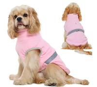5 IN 1 Functional Dog Fleece Sweater for Small Dog, Pullover Dogs Sweaters with Leash Hole, Doggie Jacket with Reflective Strips, Puppy Clothes Anxiety Vest for Chihuahua Yorkie, Fall/Winter(Pink, XS)