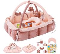 5-in-1 Plush Baby Play Gym, Baby Play Mats, Convertible Baby Gym with Pillow, Tummy time mat, Baby&Ped Bed, 6 Sensory Toys, Activity Center from Newborn to Toddler, Cat&Dog Bed, Ball Pit, Pink