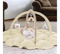 5-in-1 Thick & Plush Baby Play Gym, Baby Play Mats for Floor, Tummy Time Mat with 6 Toys, Cat and Dog Bed, Convertible Stage-Based Developmental from Babies to Toddler, Ball Pit, Pet Cushion, Cloudico