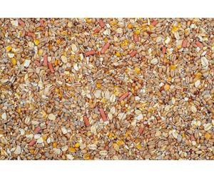5 Kg Johnston And Jeff No Mess No Grow Wild Bird Seed Mix Premium Clean Waste Free Non Germinating Garden Bird Feed