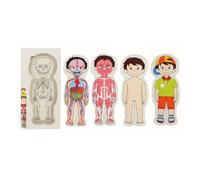 5-Layer Human Body Wooden Puzzle For Kids - Anatomy Learning Toy & Organs 36pcs Skin, STE Muscles, Skeleton, with