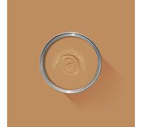 5 Litre - Farrow and Ball Paint - Dead Flat - Archived Colours