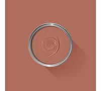 5 Litre - Farrow and Ball Paint - Dead Flat - Archived Colours