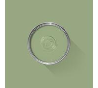 FARROW & BALL NEW DEAD FLAT 80 SAXON GREEN 5L