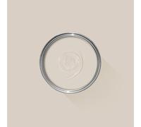 FARROW & BALL NEW DEAD FLAT 300 STIRABOUT 5L