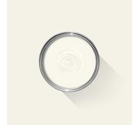 Farrow & Ball Exterior Masonry Mixed Colour Paint 239 Wimborne White 5L