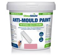(5 Litres, Berry Sorbet) SmartSeal Anti-Mould Paint - For Bathroom, Kitchen, Bedroom Walls & Ceilings - Protection Against Dangerous Mould