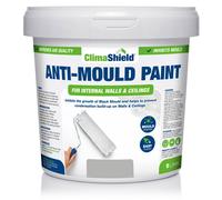 (5 Litres, Pale Slate) SmartSeal Anti-Mould Paint - For Bathroom, Kitchen, Bedroom Walls & Ceilings - Protection Against Dangerous Mould