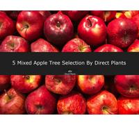 5 Mixed Apple Fruit Trees 4-5Ft Tall By Direct Plants