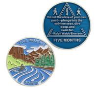 5 Month Sobriety Coin AA Chips and Medallions,Sobriety Recovery Chip Sober Token | Sobriety Gifts for Men Women Celebrating Alcoholics Anonymous Recovery