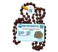 5 Mukhi Certified Certified Rudraksha Mala for Men and Women | 8 mm Rudraksha mala 108 Beads Original/ 5 Mukhi Rudraksha mala 108 Beads Original with lab Certificate (1)