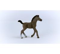 5 Pack - Cheval de Selle Francais Foal Toy Animal Figure, Ages 3 & Up - 13957