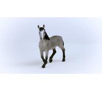 5 Pack - Cheval de Selle Francais Stallion Toy Animal Figure,Ages 3 & Up - 13956