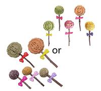 5 Pack Chewing Hay Treats for Small Animal Teeth Timothy Apple Twigs for Rabbit Cleaning Balls