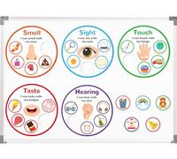 5 Pack Color Recognition Magnetic Sorting Set Educational Magnet Behaviour Sorting Matching Games Color and Five Senses Magnets Refrigerator for Whiteboard Learning Activities