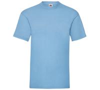 5 PACK Fruit of the Loom Mens Tee Shirt Plain 100% Cotton Round Neck T-Shirt TOP