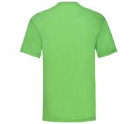 5 PACK Fruit Of The Loom Value T Shirt Crew Neck Ribbed Collar Men's Plain T Top