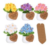 5 Pack Handmade Crochet Forget-Me-Not Flowers - Artificial Potted Plants with Thank You Tags, Mini Knitted Floral Decor for Desk Home Office, Gift for Mum Teachers Women Birthday Appreciation