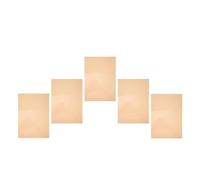 5 Pack Orange PVC Light Filter Sheets for LED Colour Correction | Film, 29.7x21x0.1cm Sheets, Adjusts Colour Tone for Flashlights, Photography, Stage Performances and Classrooms