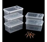 5 Pack Small Reptile Terrarium Breeding Box Transparent Hatching Container Plastic Feeding Box for Gecko Frog Spider Scorpion Centipede Insect