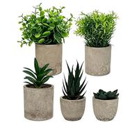 5 packs Artificial Plants with Pulp Pots, Artificial Plants Like Real for Indoor, Eucalyptus Rosemary Succulents Mini Faux Plants for Office, Bathroom, Desk, Kitchen, Living Room Decoration