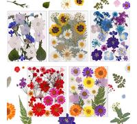 5 Packs Pressed Flowers, 100Pcs Real Dried Pressed Flowers for Resin, Mixed Multiple Flowers Leaves,for Crafts Making Floral Decors Scrapbooking DIY (Type 1)