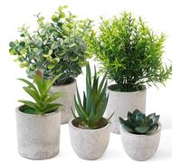 5 Pcs Artificial Plants Indoors, Small Artificial Plants in Pots, Plastic Fake PlantsPlastic Decorative Faux PlantsEucalyptus Succulents for Indoors Office Desk Living Room House Bedroom Decoration