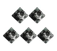 5 Pcs Car Air Fresheners Hanging Scented Cards for Cars Cat Lying on Blanket Car Air Fresheners Cars Interior Decoration Fragrance Scented Cards for Rearview Mirror Auto Accessories