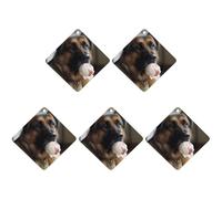 5 Pcs Car Air Fresheners Hanging Scented Cards for Cars Dog Who Likes Ice Cream Car Air Fresheners Cars Interior Decoration Fragrance Scented Cards for Rearview Mirror Auto Accessories