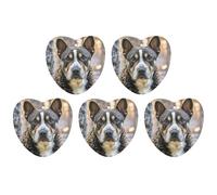 5 Pcs Car Air Fresheners Hanging Scented Cards for Cars French Poodle Car Air Fresheners Cars Interior Decoration Fragrance Scented Cards for Rearview Mirror Auto Accessories