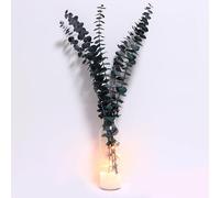 5 Pcs Dried Eucalyptus for Vase with String Light, Dried Flowers for Round Vase Eucalyptus for Shower Eucalyptus Stems Dried Flowers Boho Table Decor Dry Flowers for Decoration Wedding Home Decor