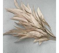 5 Pcs Height 106cm 6-Head Brushed Cloth Artificial Flowers Passion Leaf Plant Wall Wedding Wedding Hall Flower Arrangement Fake Flower Bouquet