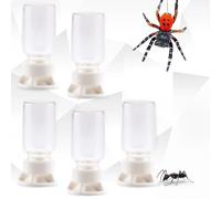 5 Pcs Jumping Spider Ant Water Feeder Bee Plastic Water Feeding Tarantula Water Bowl Spider Feeder (Capacity: 20ml)