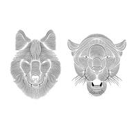 5 pcs of wolf juice herbal tattoo stickers, waterproof and durable for men's arms, semi permanent on the chest