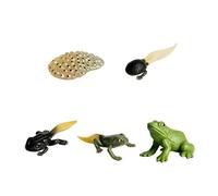 5 Pcs Plastic Frogs Life Cycle Set,Realistic Frog Animal Figurines Model Kit,Miniature Simulation Growth Education,Tadpole to Adult Amphibian Figures Learning Gift,for Bonsai Pot Micro Landscape Decor