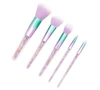 5 Pcs Professional Makeup Brush Set with Plastic Handles for Women | Artificial Fiber, Soft on Skin, Washable and Cleanable, Beauty School Practice and Professional Use