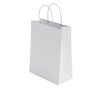5 Pcs Small White Paper Party Bags with Handles Colourful Paper Gift Bags for Kids Parties Weddings Birthdays Baby Showers Xmas and Sweets 18x22x8cm Kraft Bags