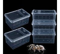 5 Pcs Spider Small Terrariums Breeding Box Transparent Hatching Container Plastic Feeding Box for Small Reptile Spider Scorpion Centipede Insect