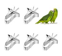 5 PCS Stainless Steel Bird Feeder - Cuttlefish Clip Holder, Foraging Toy, Cage Accessories for Hamster, Cockatiel, Parrot & Small Animals
