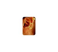 5 Pcs Thin Chunky Ear Cuff Earrings for Women 14K Gold Plated Brass Ear Cuffs Non Piercing Trendy Clip on Cartilage Earrings Cubic Zirconia Fake Piercings Earrings Jewelry, Brass, Rhinestone