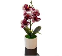 5 Piece Artificial Phalaenopsis Orchid Potted Plants for Wedding Decor Photography Backdrops and Home Interior Styling (Spotted Purple)