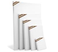 5-Piece Canvas Set, Canvas for Painting, Stretcher Frame, Canvases for Acrylic Paints for Artists, Amateurs, Beginners for Acrylic, Watercolour, Oil Paint and Much More (10 x 10.15 x 20.20 x 25.25 x