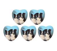 5 Pieces Car Air Freshener Border Collie Printed Car Aromatherapy Tablets Scented Cards Hanging Scented Cards Rearview Mirror Pendant