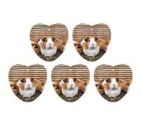 5 Pieces Car Air Freshener Guinea Pigs Printed Car Aromatherapy Tablets Scented Cards Hanging Scented Cards Rearview Mirror Pendant