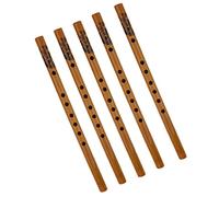 5 Pieces Chinese Bamboo Flute Xiao Woodwind Musical Instrument