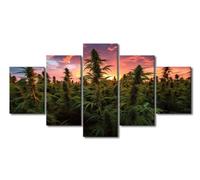 5 Pieces Marijuana Plantation Canvas Wall Art Marijuana Plant Wall Painting Artwork Pictures Cannabis Marijuana Weed Plant Home Decorations for Living Room and Bathroom Framed Ready to Hang(60"Wx32"H)