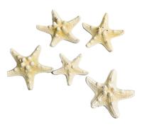 5 Pieces Starfish Decor 5 to 7.5cm Bulk Star Fish Shells for Crafts Sand Ornament,Beach Theme Decoration for DIY Crafts, Fish Tank, Christmas Tree (Type 1 (5-7.5cm / 2-3in) 5)