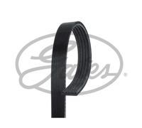 Multi-ribbed V-belt 5PK1123 GATES for CITROËN PEUGEOT MITSUBISHI TOYOTA BMW OPEL