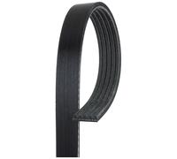 5 Rib Multi V Drive Belt 5PK1783 Gates 0009939500 A0009939500