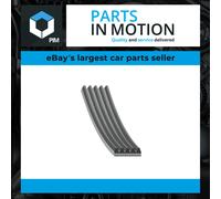 5 Rib Multi V Drive Belt AD05R2020 Blue Print PQS000200 5PK2017 5PK2018 Quality